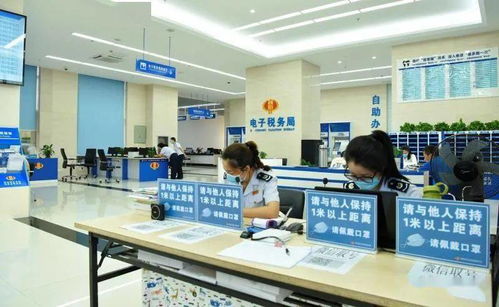 将操心变省心，从少跑到不跑——仙居纳税服务真赞